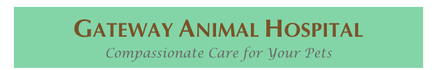 Gateway Animal Hospital
Compassionate Care for Your Pets